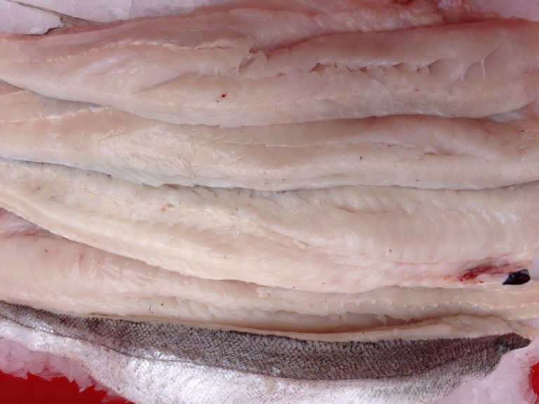 hake-galore-blog-fresh-cornish-fish