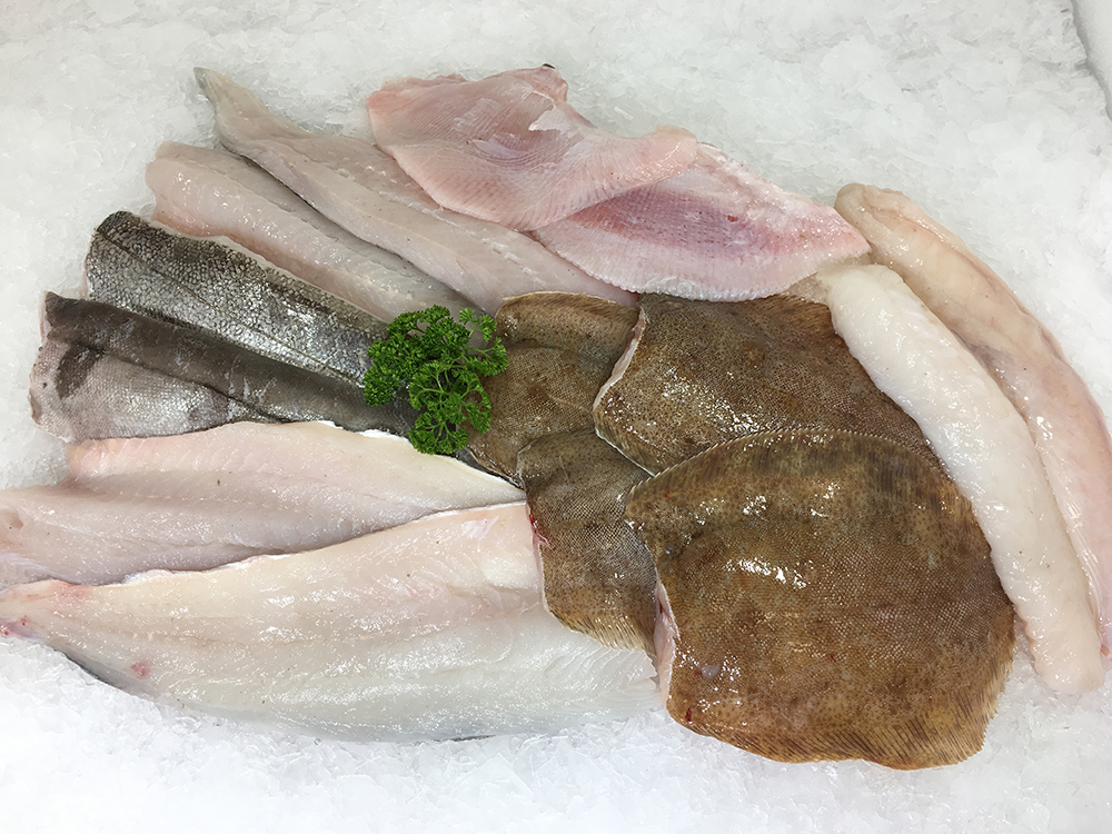 The fish box club - have a box of fresh cornish fish delivered to